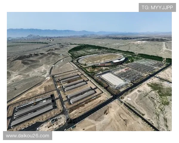 博乐体育设备品牌:优质设备助力体育赛事与训练 博乐体育设备品牌:优质设备助力体育赛事与训练